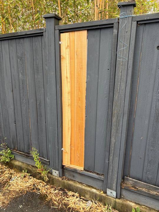 Fence board replacement, after