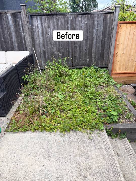 Outdoor lounge, before